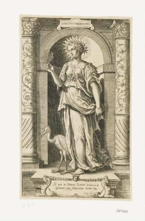 Spiritus Timoris