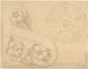 Zocher, Ernst; Studienzeichnungen nach Gipsen - florales Ornament (Ansicht, Detail)