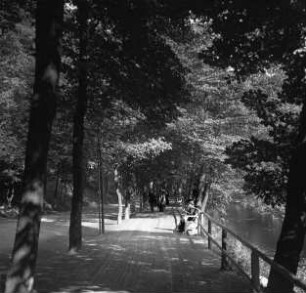 Waldweg mit Spaziergängern bei Karlsbad