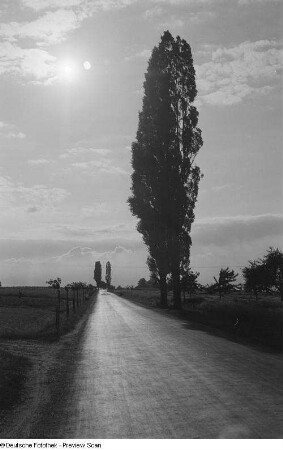 Landschaftsansicht mit Landstraße