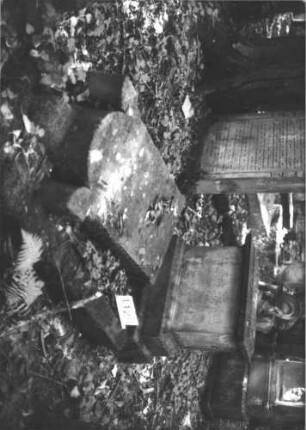 Grabstein 1128 (Index: 99899818) Material: Sandstein Zustand: Sockel leicht verwittert, Stele liegt Maße HxBxT: 220x75x32 cm Beschreibung: aufgesockelte Stele mit eingezogenem Rundbogenabschluss, Einzüge akroterienhaft erhöht, vom Sockel gestürzt, liegt: Grabstein 1128