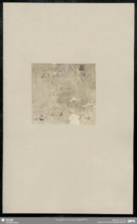 Masses. Excerpts - Mus.2358-D-37 : V (5), bc - g; ZWV Z 34