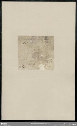 Masses. Excerpts - Mus.2358-D-37 : V (5), bc - g; ZWV Z 34
