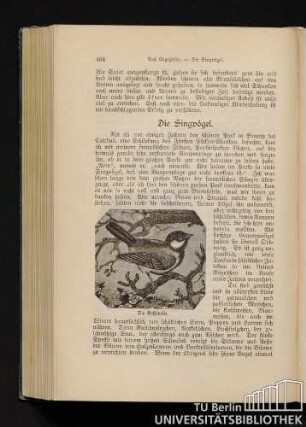 Die Singvögel.