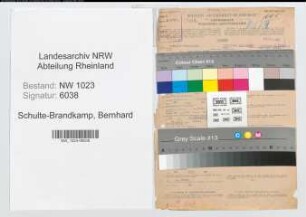 Entnazifizierung Bernhard Schulte-Brandkamp , geb. 12.11.1897 (Oberinspektor)