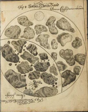 Illustration 35: Fig: 8