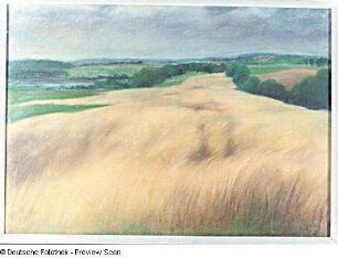 Sommerlandschaft