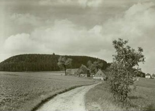 Der Bärenstein und der gleichnamige Ort von Süden