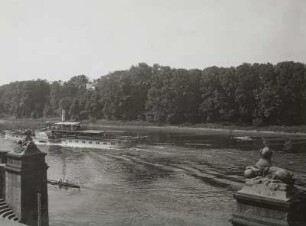 Dresden. Blick über die Sphinxe der Bootsanlegestelle von Schloss Pillnitz zur Elbinsel. Auf Fahrt stromauf "Personen-Seitenraddampfer "Riesa" (II, 1897, Werft Blasewitz)
