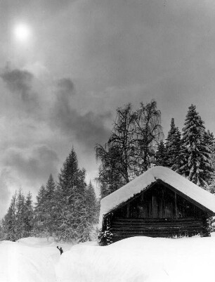 Österreich. Skigebiet um Seefeld/Tirol. Tiefverschneite Winterlandschaft. Ein Mensch winkt aus der beträchtlichen Schneehöhe.