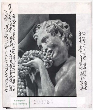 Michelangelo: Bacchus und Faun, Detail Faun mit Trauben. Florenz, Museo Nazionale