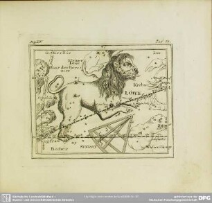 Fig. XV