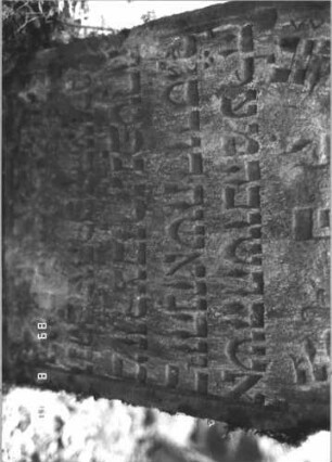 Grabstein 197 (Index: 99800026) Material: Sandstein Zustand: verwittert Maße HxBxT: 89x57x12 cm Beschreibung: Stele, Rundbogenabschluß, Schriftfeld eingetieft Symbolik: Rosette: Grabstein 197 (Detailaufnahme 2)
