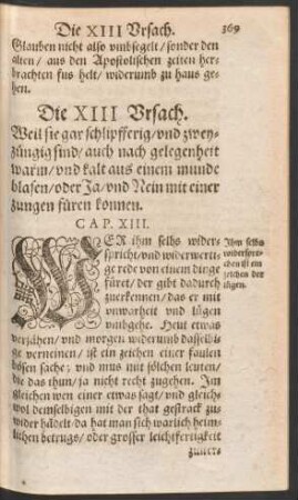 Die XIII Ursach.