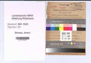 Entnazifizierung Anton Birmes , geb. 19.04.1893 (Kaufmaennischer Angestellter)