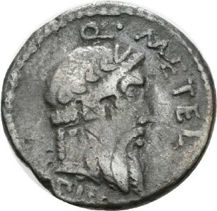 Denar des Q. Caecilius Metellus Pius Scipio mit Darstellung eines Elefanten