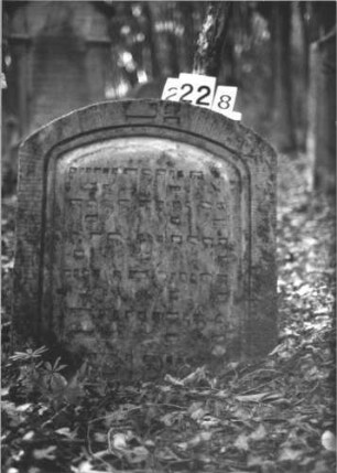 Grabstein 2228