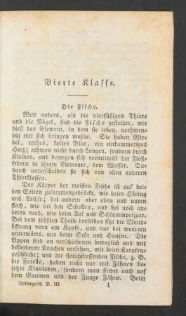 Vierte Klasse. Die Fische.