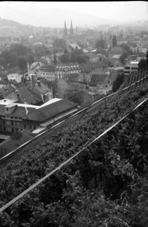 Freiburg: Stiftungsverwaltung; vom Schlossberg durch Reben, auf Stadtteil Wiehre