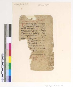[Rite of the Unction of the Sick] : Fragm. copt. Pischoi Rituale 13