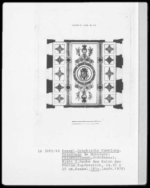Kassel & Fridericianum & Ständesaal & Decke des Salons des Königs