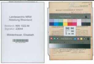 Entnazifizierung Elisabeth Moldenhauer , geb. 24.06.1918 (Kindergaertnerin)
