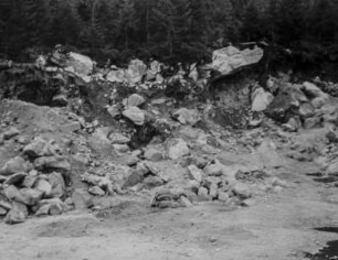 Geröll : Blick auf ausgewaschenes Geröll an einem Waldrand