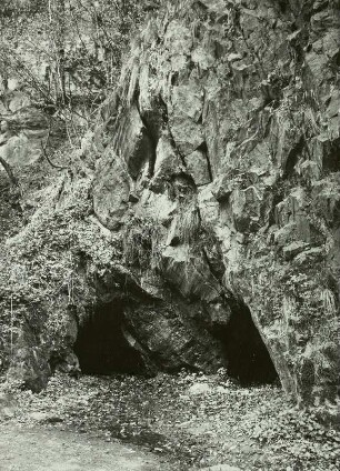 Rabenauer Grund, Osterzgebirge, Versuchsstollen der Höckendorfer Herren von Theler