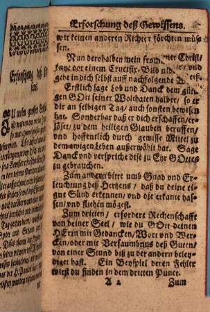 Sein selbst Richter, Das ist: Weiß, sein Gewissen täglich zu erforschen