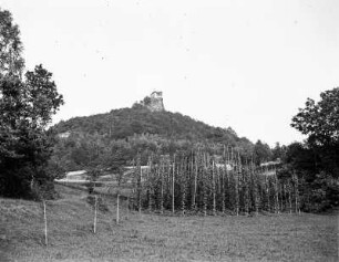 Burgruine Pürstein : Dorf Pürstein (Perstejn/Tschechische Republik). Blick zur Burgruine