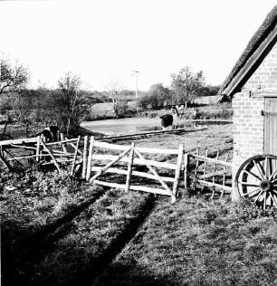 Schlamersdorf: Landwirtschaft: Weide mit Rindern: vorn Gatter: rechts Reetdachhaus mit altem Wagenrad: im Hintergrund Knicklandschaft