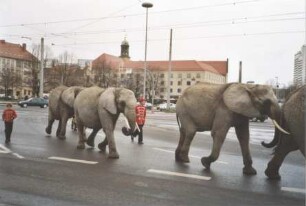 Circus Berolina, Magdeburg - Berlin, 1973-2004