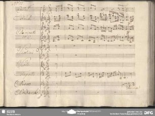 Cavatina: "Donna bianca aver maniera"