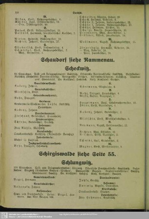 Schlungwitz