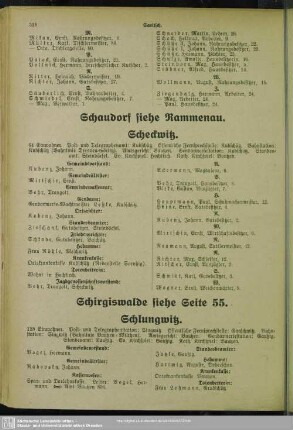 Schlungwitz