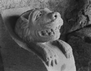 Löwenkopf