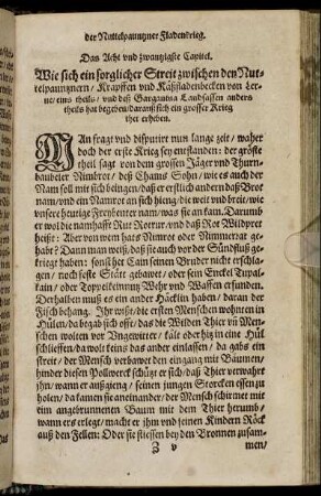 Das Acht und zwantzigste Capitel.