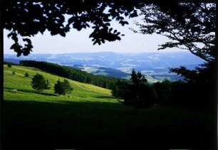 Kandel: Fernsicht vom Rundweg Richtung St. Peter