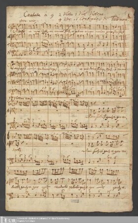 Ms. Ff. Mus. 1317 - Cantata à 9 : 2 Violin, 1 Viol, Violone, 4 Voc: et Continuo