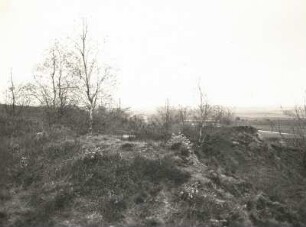 Sachsen. Wachtelberg südlich von Wurzen mit blühender Kuhschelle (Pulsatilla vulgaris Mill.)