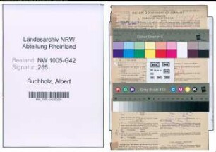 Entnazifizierung Albert Buchholz , geb. 29.03.1877 (Musiklehrer)