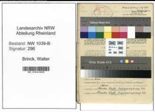 Entnazifizierung Walter Brinck , geb. 23.02.1900 (Angestellter)