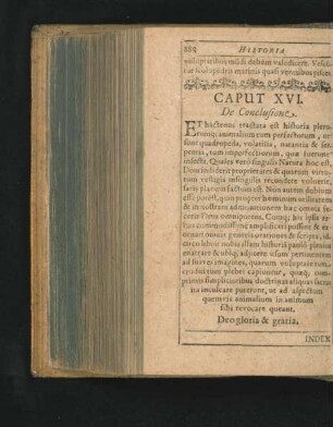 Caput XVI. De Conclusione.