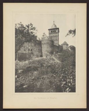 Tafel 25 Alte Stadtmauer am Burgthor