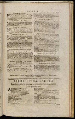 Alphabetica Tabula Specificarum Arborum materies præcipuas, tam reales, quam nóminales enuncians.