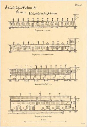 Schlachthof und Viehmarkt, Breslau Schlachthalle für Schweine: Längsschnitte 1:100