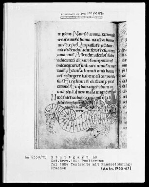 Kalendar - Psalterium - Hymnar (Benediktinerhandschrift) — Drachen mit drei Köpfen oder Cerberus, Folio 189verso