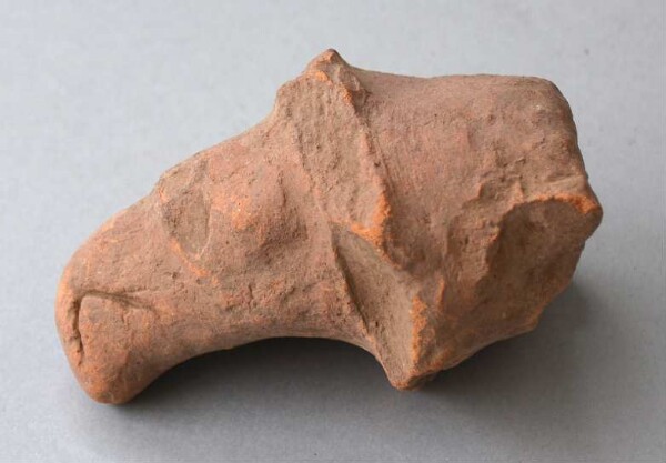 Clay animal head (fragment)