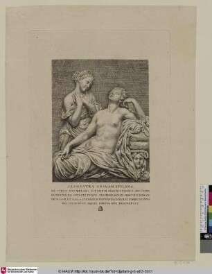 CLEOPATRA ANIMAM EFFLANS