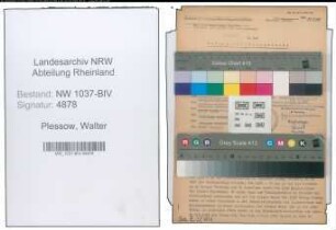 Entnazifizierung Walter Plessow , geb. 15.05.1908 (Sparkasseninnenrevisor)
